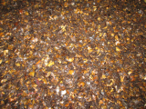 Cashew shell extraction